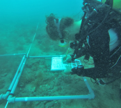 A diver recording data on an underwater slate beside a quadrat frame on the seabed