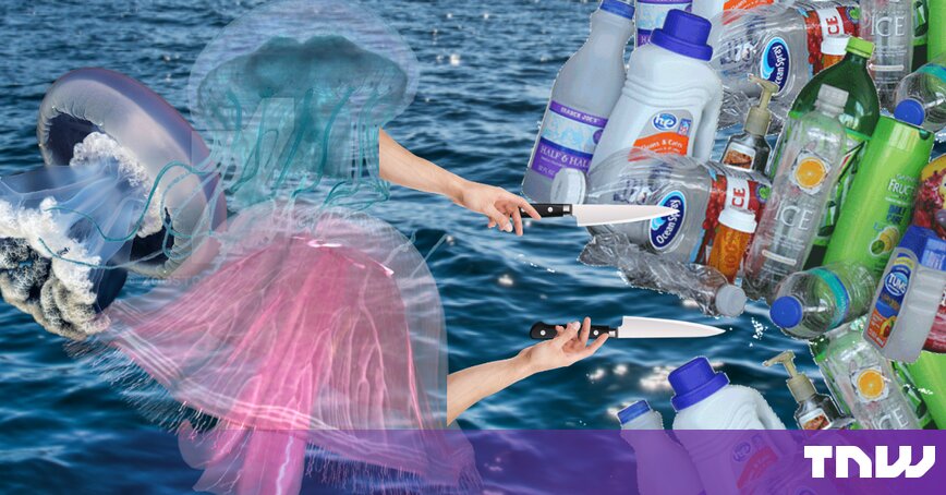 Jellyfish on a shoreline, cover image of The Next Web article on jellyfish-mucus filters