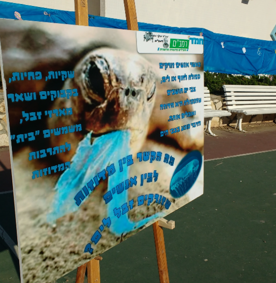 Pupil poster: plastic bags in the sea, sea turtles and the confusion with jellyfish