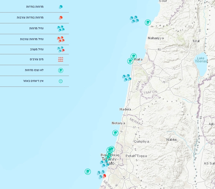 Map of jellyfish reports along the Israeli coast with a Hebrew legend of report types