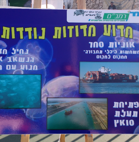 Pupil poster: why nomadic jellyfish arrive, from shipping to the opening of the Suez Canal