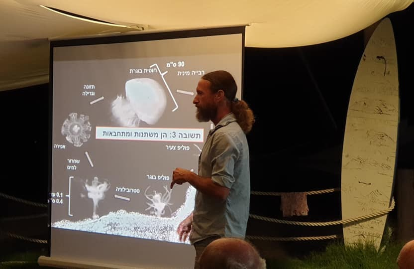 A researcher speaking outdoors beside a projected slide of the Rhopilema nomadica life cycle