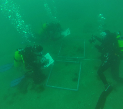 Three divers working together around two quadrat frames on the seabed