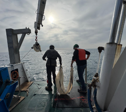 Two people lowering a plankton net over the stern of a vessel under a cloudy sky