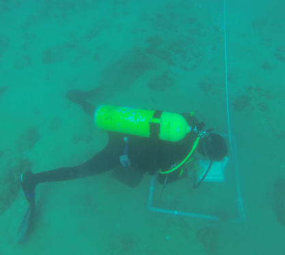 A single diver swimming above a quadrat frame placed on a rocky seabed