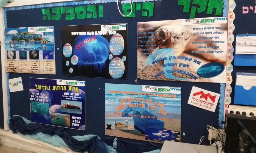 A school display wall showing the pupils' posters on marine and environmental research