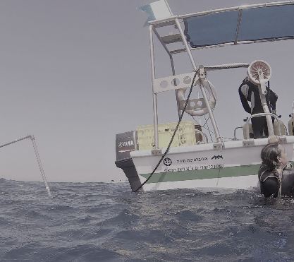 A research vessel at sea with a diver entering the water from the stern
