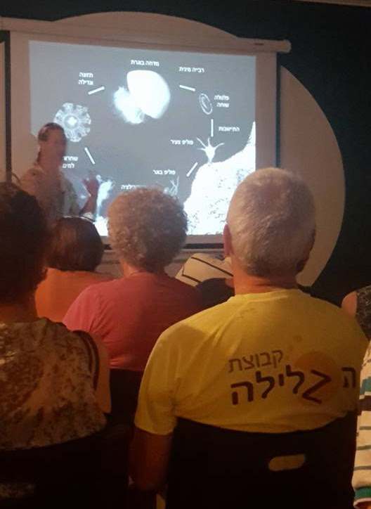 An indoor audience watching a slide of the jellyfish life cycle with Hebrew labels