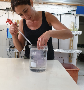 A researcher pipetting into a glass beaker at a laboratory bench