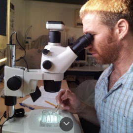 Zafrir Kuplik working at a microscope