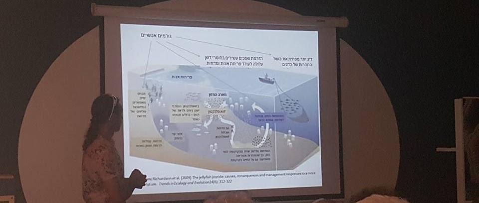 A researcher presenting a Hebrew diagram of the human drivers of jellyfish blooms in the sea